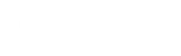 Crunchy Mommy Co